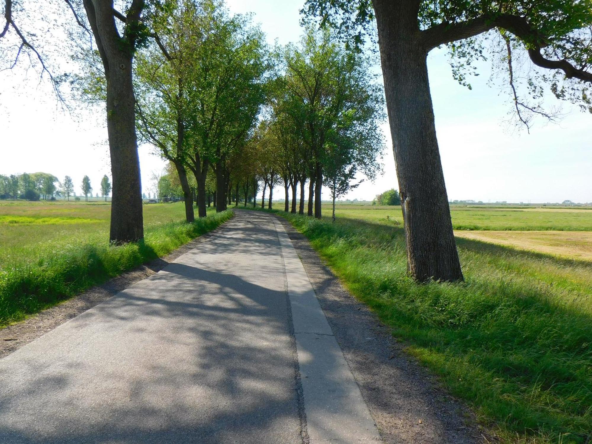 Deel Erf Het 8Ste Werk Kampen Exterior foto